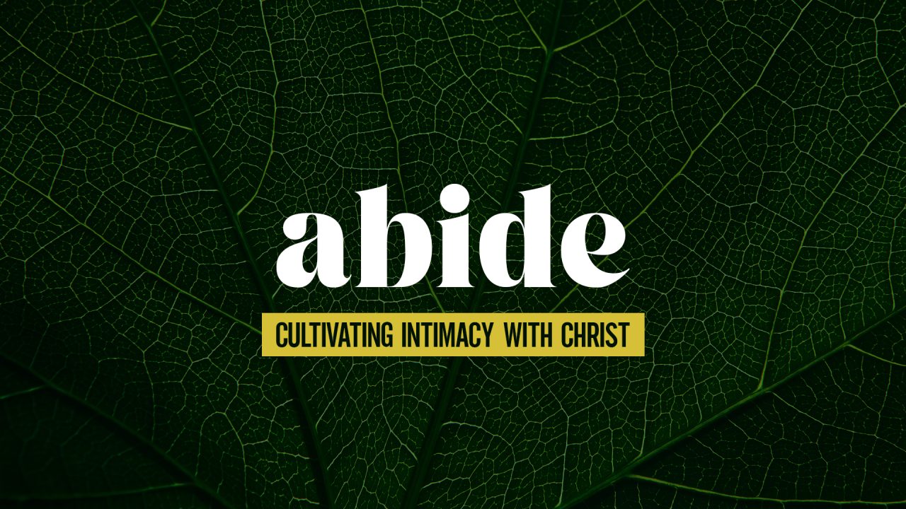 Abide