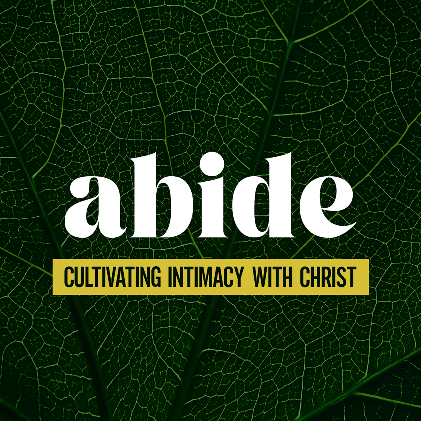 Oak Grove Church Sermons