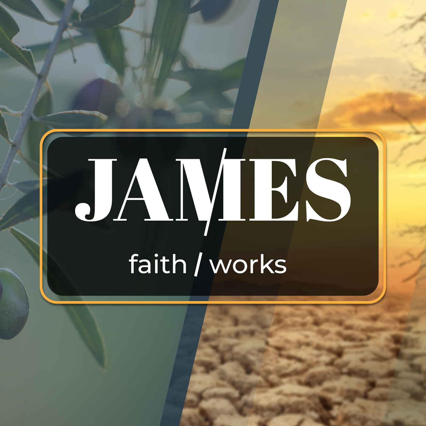 Oak Grove Church Sermons